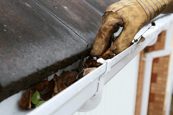 Gutter Cleaning & Repair
