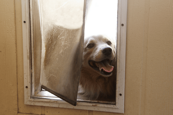 Pet Doors